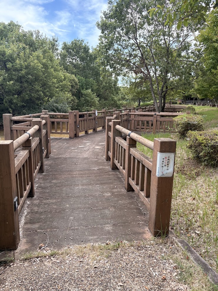 守山市みさき自然公園の水辺に設けられた木製デッキ