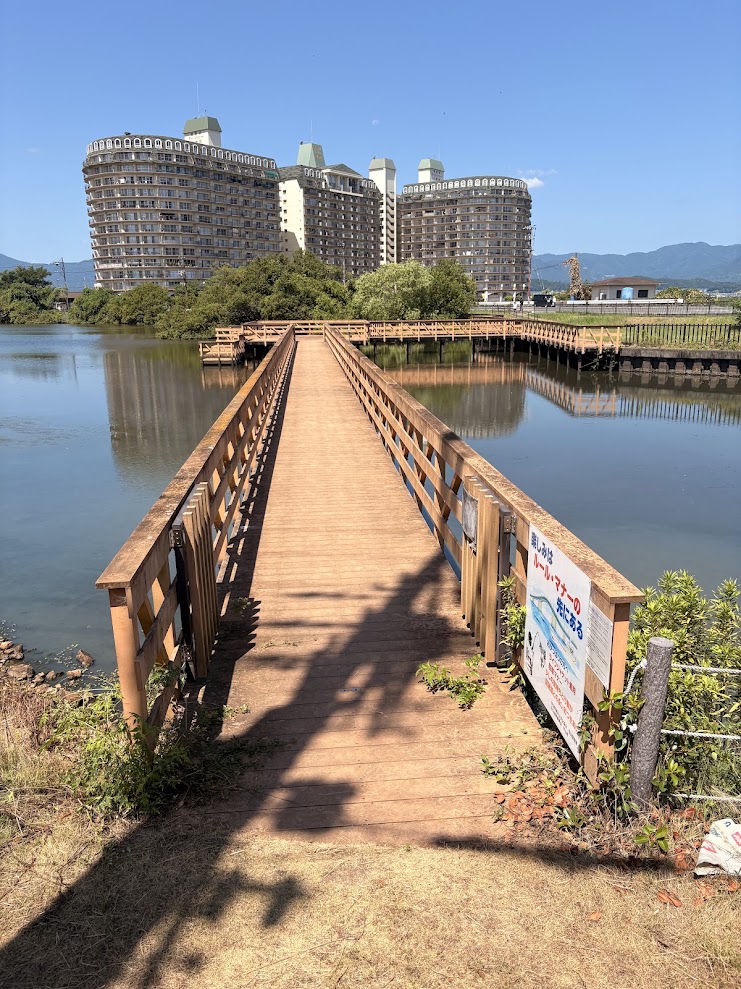 守山市今浜町美崎にある大川親水デッキの昼間の風景