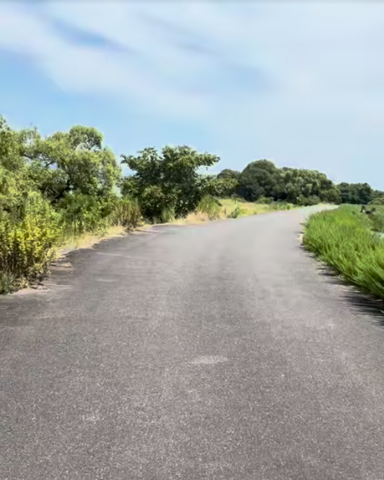 夏の終わりに自転車で走った守山市の琵琶湖岸の道
