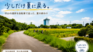 守山市の湖岸を自転車で走った夏の終わりとひまわり畑