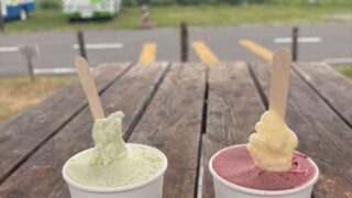 守山市のおうみんちで食べたジェラート