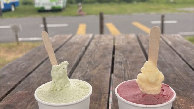 守山市のおうみんちで食べたジェラート