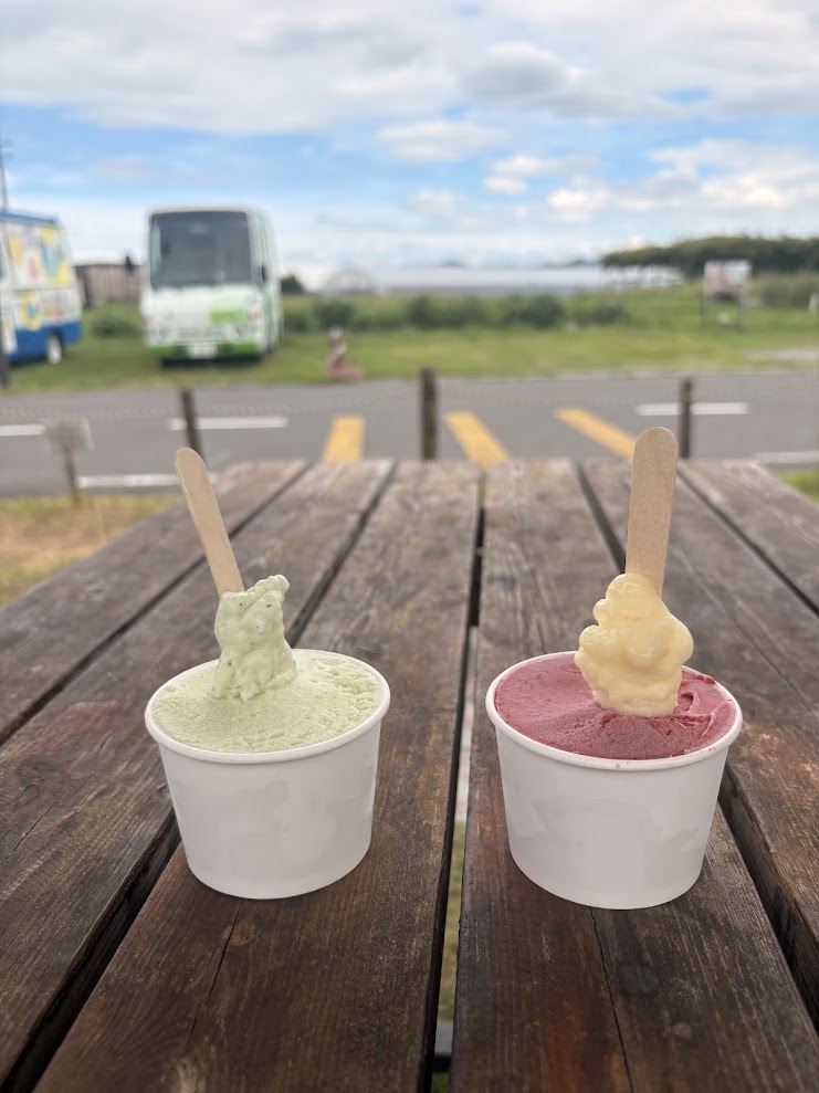 守山市のおうみんちで食べたジェラート