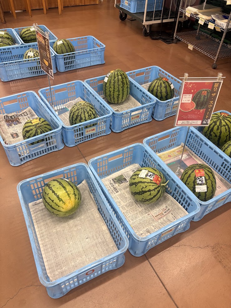 おうみんちに並ぶ夏のスイカ