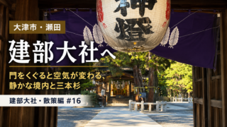 大津市瀬田の建部大社、門から望む境内と三本杉