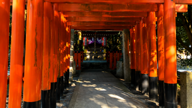 大津市の建部大社境内にある武富稲荷神社の朱色の鳥居と参道