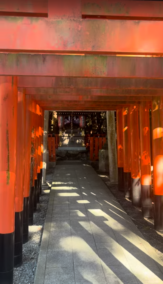 建部大社の武富稲荷神社で朱色の鳥居が連なる参道
