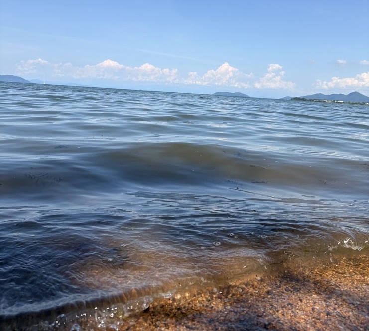 守山市の第二なぎさ公園から見た、青空の下に穏やかな波が寄せる琵琶湖の湖岸風景