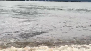 雨上がりの守山市の琵琶湖岸で小さな砂浜に打ち寄せる波