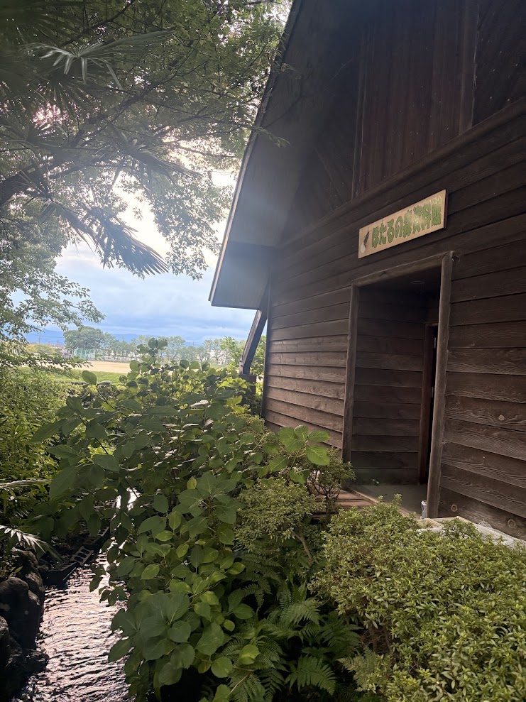木々や水辺の緑に囲まれた守山市ほたるの森資料館。夕方の静かな周辺の様子。