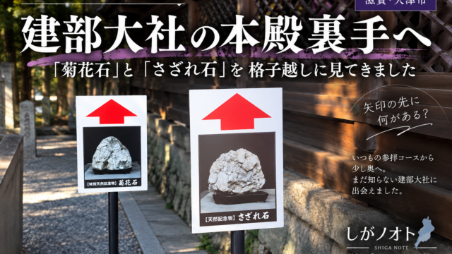 建部大社の本殿裏手で見つけた菊花石とさざれ石の案内