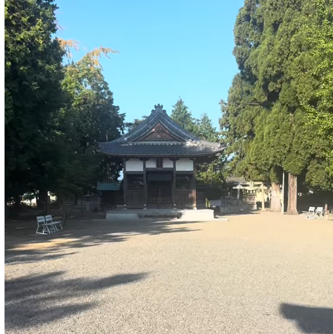 中野樹下神社の鳥居から拝殿へ向かう境内の風景